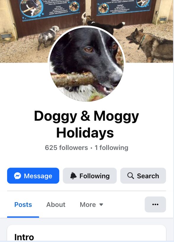 Doggy Moggy Holidays Facebook Page